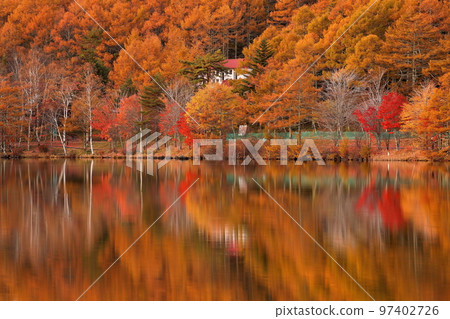 Oaza Ashida Hachigano, Tateshina-cho, Kitasaku-gun, Nagano Prefecture Autumn leaves and reflections on the surface of Lake Megami at dusk 97402726