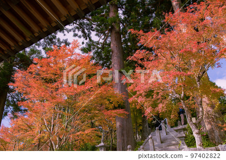 Unpenji's autumn foliage, an impressive sight spreads out before you Unpenji's autumn foliage, an impressive sight spreads out before you 97402822
