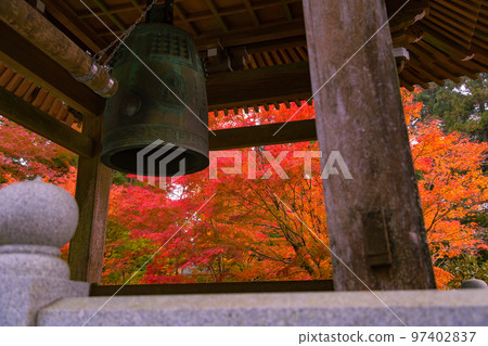 Unpenji's autumn foliage, an impressive sight spreads out before you Unpenji's autumn foliage, an impressive sight spreads out before you 97402837