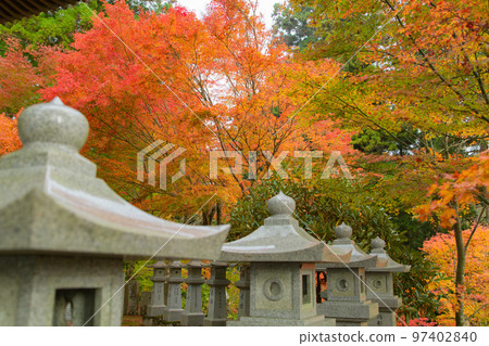 雲邊寺的紅葉，令人印象深刻的景色展現在眼前 97402840