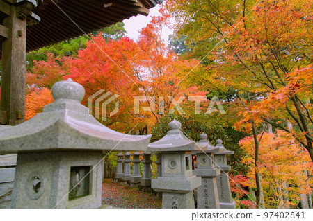 雲邊寺的紅葉，令人印象深刻的景色展現在眼前 97402841