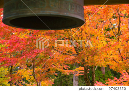 Unpenji's autumn foliage, an impressive sight spreads out before you Unpenji's autumn foliage, an impressive sight spreads out before you 97402850