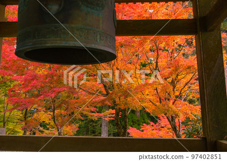 Unpenji's autumn foliage, an impressive sight spreads out before you Unpenji's autumn foliage, an impressive sight spreads out before you 97402851