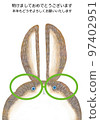 New Year's card rabbit character character 3 97402951