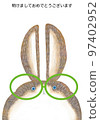 New Year's card rabbit character 4 97402952
