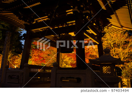 雲邊寺的紅葉,照亮後的景色令人印象深刻 雲邊寺的紅葉,照亮後的景色令人印象深刻 97403494
