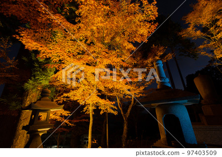 Unpenji's autumn foliage, an impressive sight that emerges when illuminated 97403509