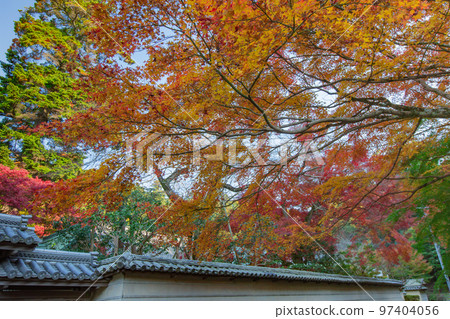Shikoku Sacred Site No. 81 Fudasho Shiramine Temple Autumn Leaves Shikoku Sacred Site No. 81 Fudasho Shiramine Temple Autumn Leaves 97404056