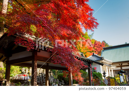 Shikoku Sacred Site No. 81 Fudasho Shiramine Temple Autumn Leaves Shikoku Sacred Site No. 81 Fudasho Shiramine Temple Autumn Leaves 97404059
