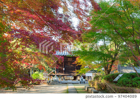 Shikoku Sacred Site No. 81 Fudasho Shiramine Temple Autumn Leaves Shikoku Sacred Site No. 81 Fudasho Shiramine Temple Autumn Leaves 97404089