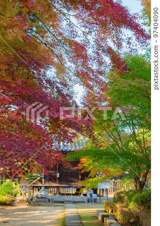 Shikoku Sacred Site No. 81 Fudasho Shiramine Temple Autumn Leaves Shikoku Sacred Site No. 81 Fudasho Shiramine Temple Autumn Leaves 97404090