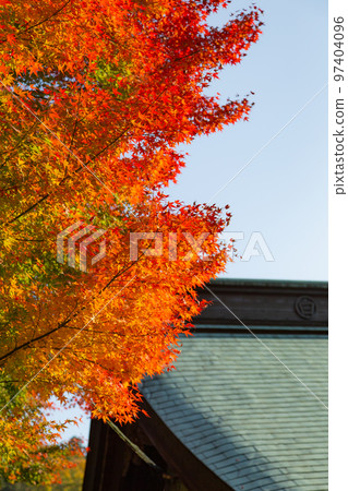 四國靈場 No.81 不動所白峰寺 紅葉 97404096