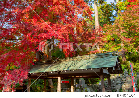 Shikoku Sacred Site No. 81 Fudasho Shiramine Temple Autumn Leaves Shikoku Sacred Site No. 81 Fudasho Shiramine Temple Autumn Leaves 97404104