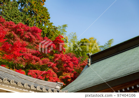 四國靈場 No.81 不動所白峰寺 紅葉 四國靈場 No.81 不動所白峰寺 紅葉 97404106
