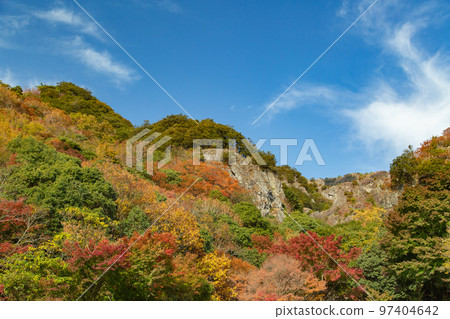 Autumn leaves of Shodoshima Kokasei 97404642
