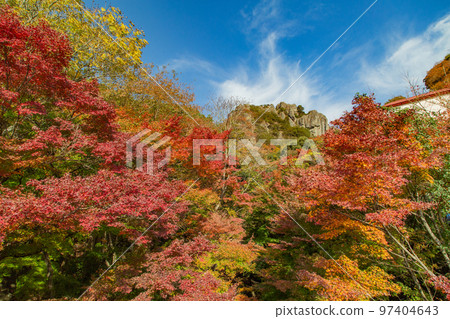 Autumn leaves of Shodoshima Kokasei 97404643