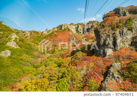 Autumn leaves of Shodoshima Kokasei 97404651