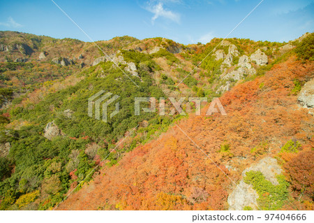 Autumn leaves of Shodoshima Kokasei 97404666