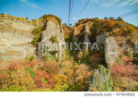 Autumn leaves of Shodoshima Kokasei 97404669