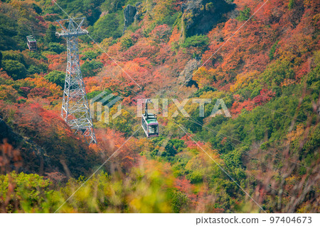 Autumn leaves of Shodoshima Kokasei 97404673