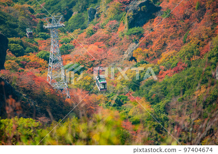 Autumn leaves of Shodoshima Kokasei 97404674