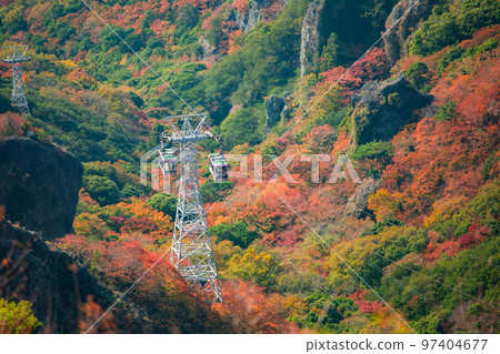 Autumn leaves of Shodoshima Kokasei 97404677