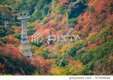 Autumn leaves of Shodoshima Kokasei 97404680