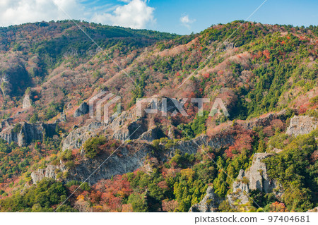 Autumn leaves of Shodoshima Kokasei 97404681