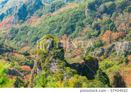 Autumn leaves of Shodoshima Kokasei 97404682