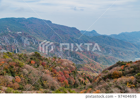 Shodoshima Kokasei秋葉 97404695