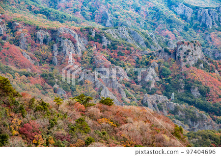 Shodoshima Kokasei秋葉 97404696