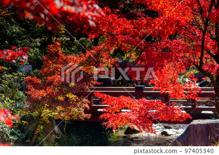 香川運河紀念公園的紅葉最美 香川運河紀念公園的紅葉最美 97405340