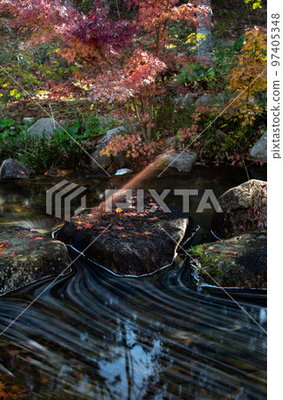Autumn leaves at Kagawa Canal Memorial Park are the best Autumn leaves at Kagawa Canal Memorial Park are the best 97405348