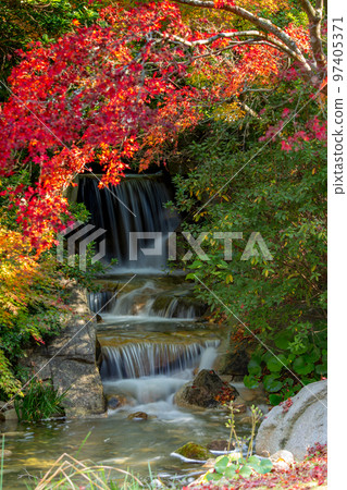 香川運河紀念公園的紅葉最美 97405371