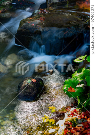 香川運河紀念公園的紅葉最美 97405372