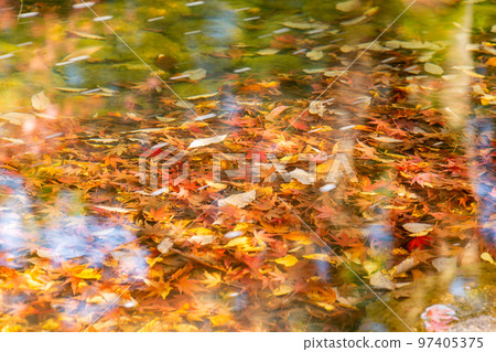 Autumn leaves at Kagawa Canal Memorial Park are the best Autumn leaves at Kagawa Canal Memorial Park are the best 97405375