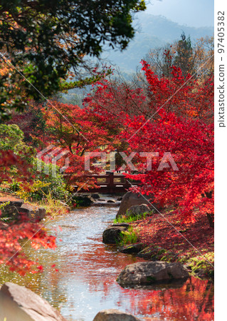 香川運河紀念公園的紅葉最美 香川運河紀念公園的紅葉最美 97405382