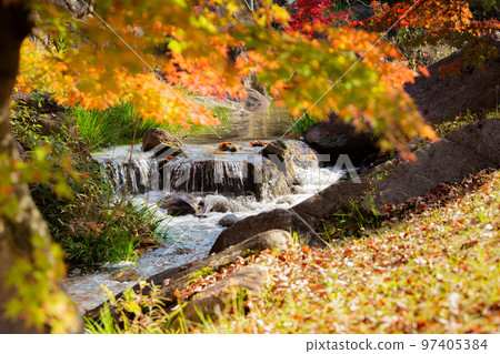 香川運河紀念公園的紅葉最美 97405384
