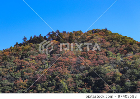 Autumn leaves of Lake Sagami (Midori Ward, Sagamihara City, Kanagawa Prefecture) Autumn leaves of Lake Sagami (Midori Ward, Sagamihara City, Kanagawa Prefecture) 97405588