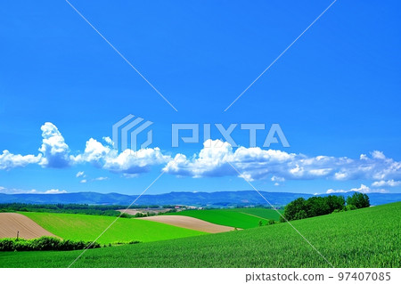 夏日的北海道 美瑛的清新風景 97407085