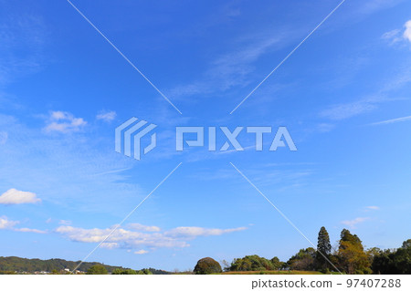 blue sky cloud tree blue sky cloud tree 97407288