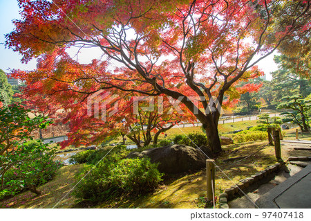 Ritsurin Park Autumn foliage is the best 97407418