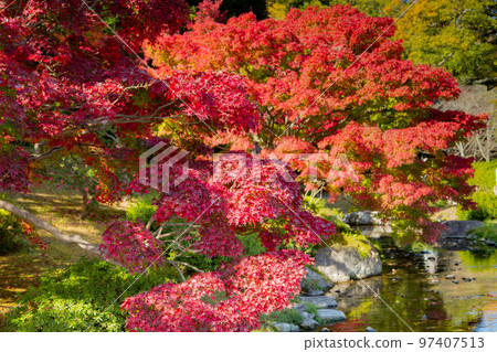 Ritsurin Park Autumn foliage is the best Ritsurin Park Autumn foliage is the best 97407513