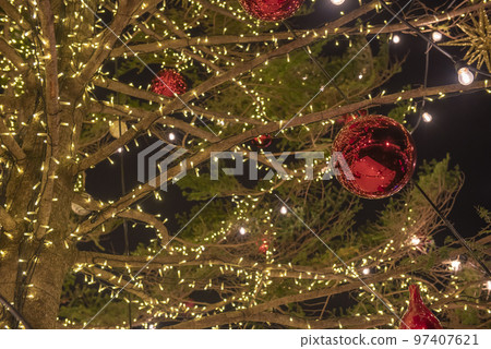 橫濱紅磚倉庫聖誕市場 2019年聖誕樹 橫濱紅磚倉庫聖誕市場 2019年聖誕樹 97407621