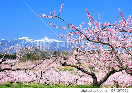 Shinpu Togenkyo and Yatsugatake in spring Shinpu Togenkyo and Yatsugatake in spring 97407682