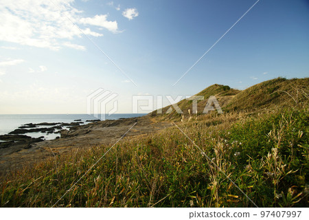 Miura City Kurosaki No Hana Miura City Kurosaki No Hana 97407997