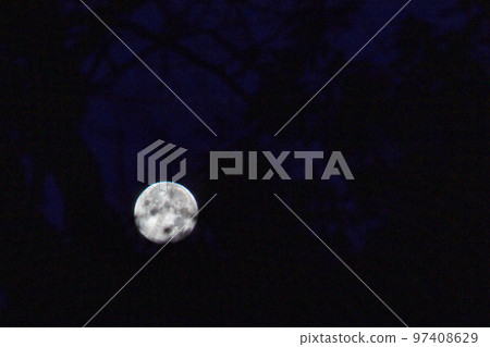 Moon Moon 97408629