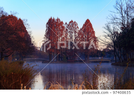 有池塘的公園 97408635