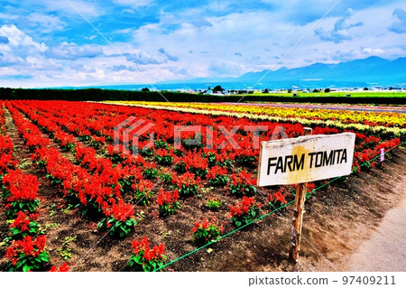 北海道富田農場的絕景（北海道中富良野町） 97409211