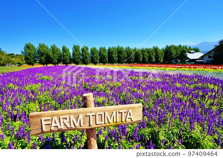 Superb view of Hokkaido Farm Tomita (Nakafurano Town, Hokkaido) 97409464